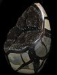 Polished Septarian Geode Sculpture - Black Crystals #37130-1
